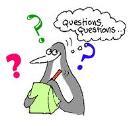 Penguin Questions